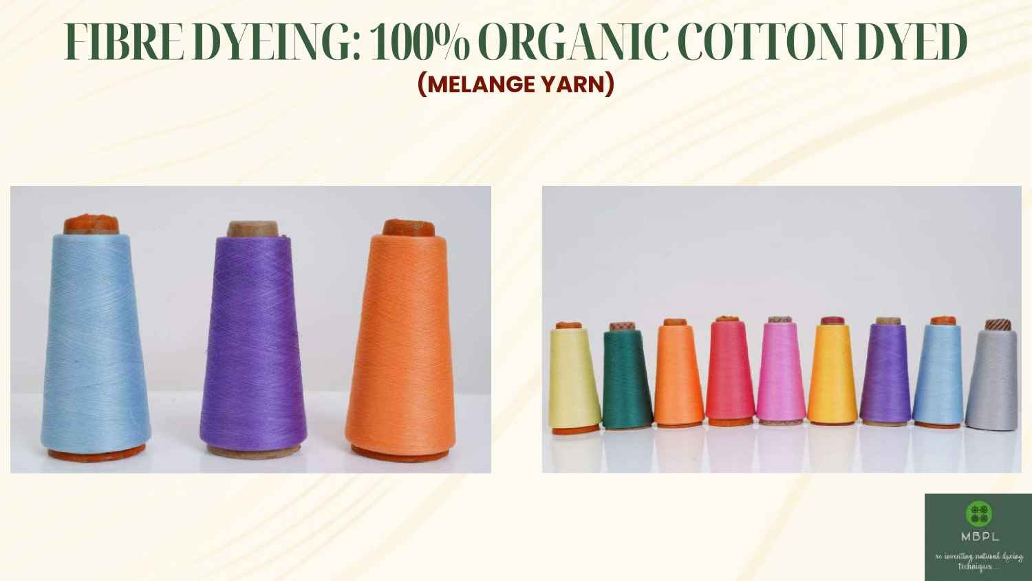 MBPL Product 6