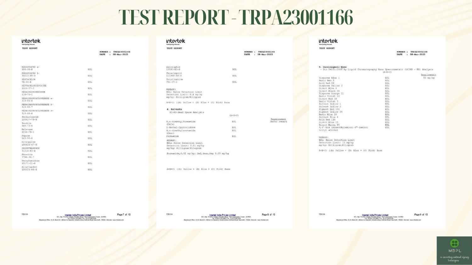 Report 19
