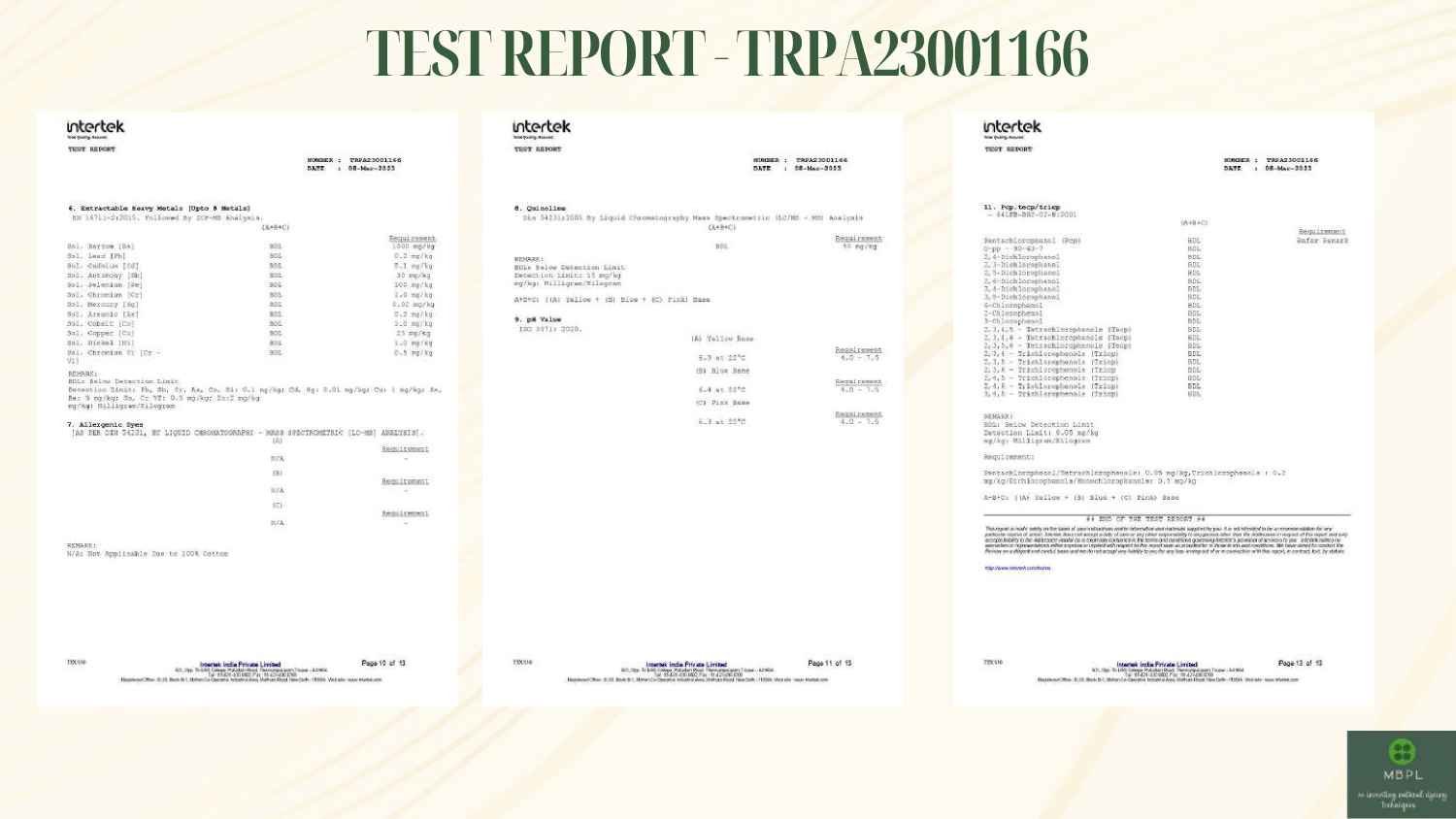 Report 20