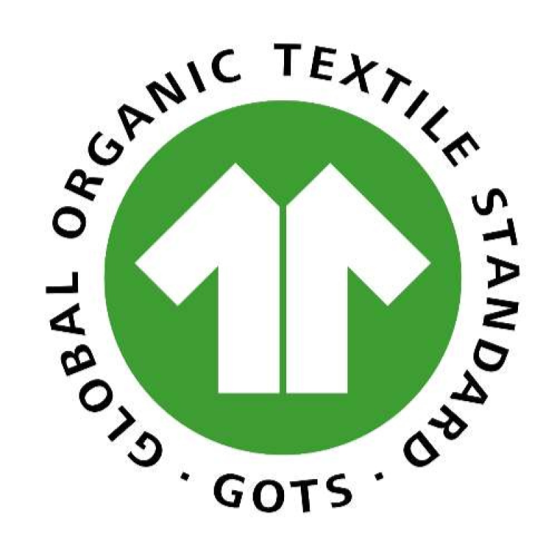 6 6